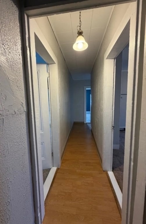 Building Photo - 127 Court St