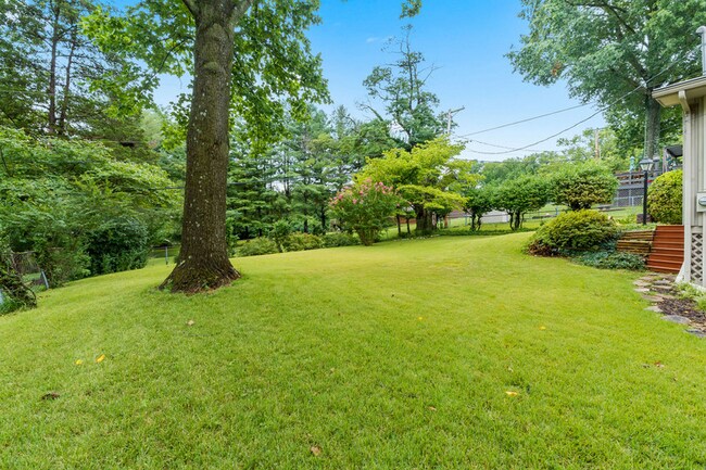 Spacious fenced in backyard. - 1618 Oak Hills St