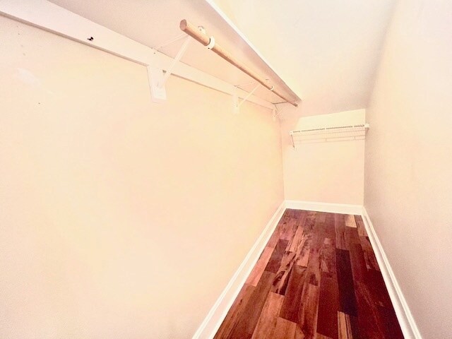 Master bedroom walking closet - 849 Lasalle St