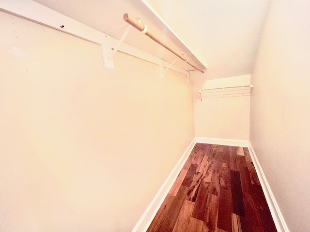 Master bedroom walking closet - 849 Lasalle St