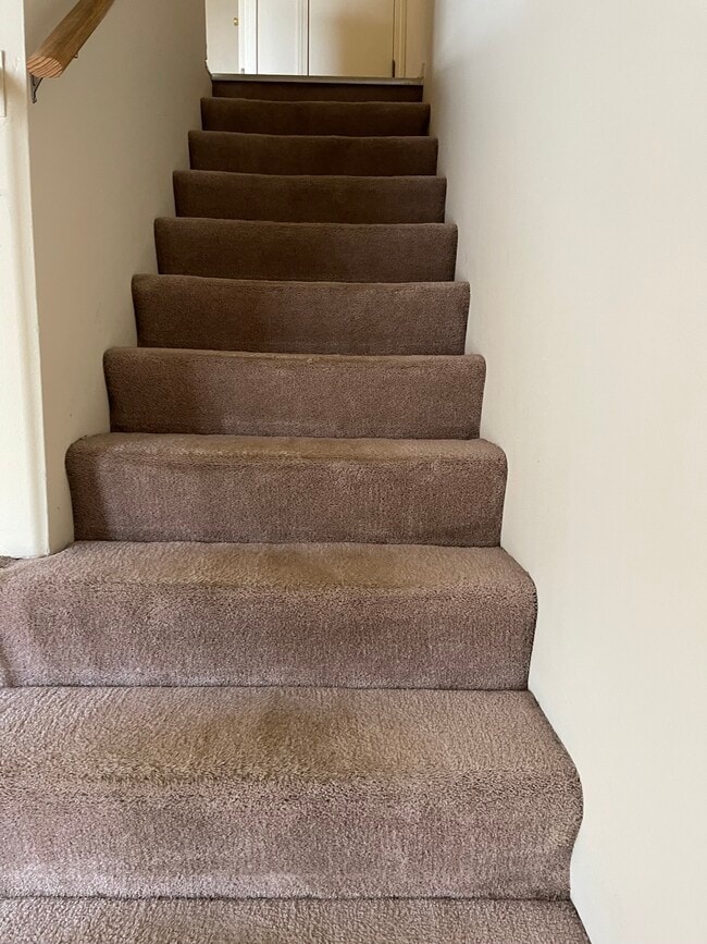 Building Photo - 1830 Stargazer Dr