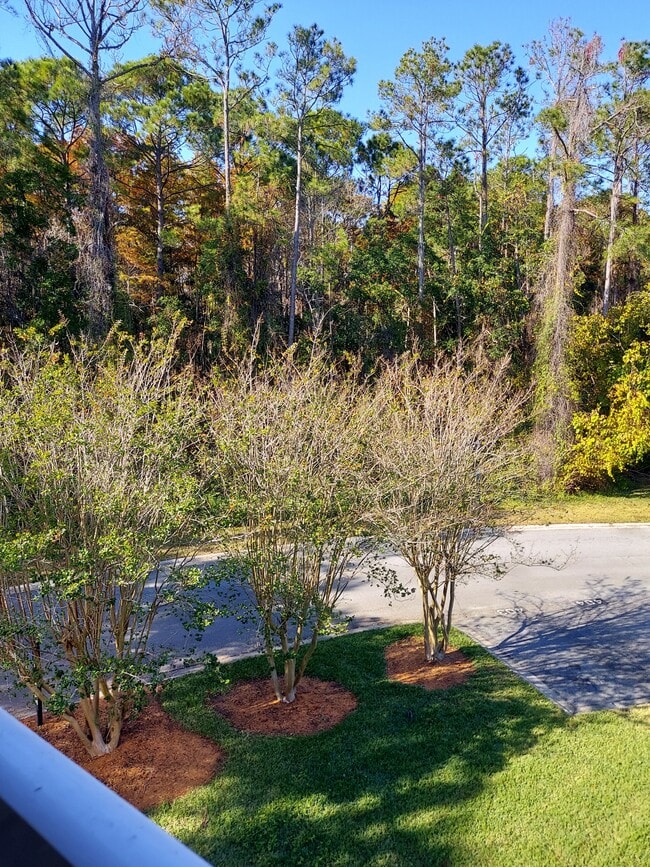 Building Photo - 7701 Timberlin Park Blvd