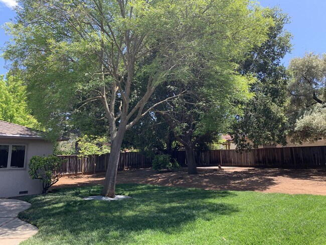 Building Photo - 280 Mt Hamilton Ave