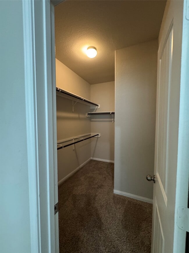 Building Photo - 305 Black Bear Dr