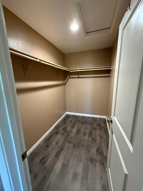 Building Photo - 1037 Honeybell Ct