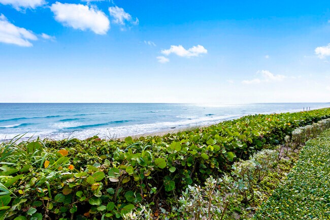 Building Photo - 3400 S Ocean Blvd