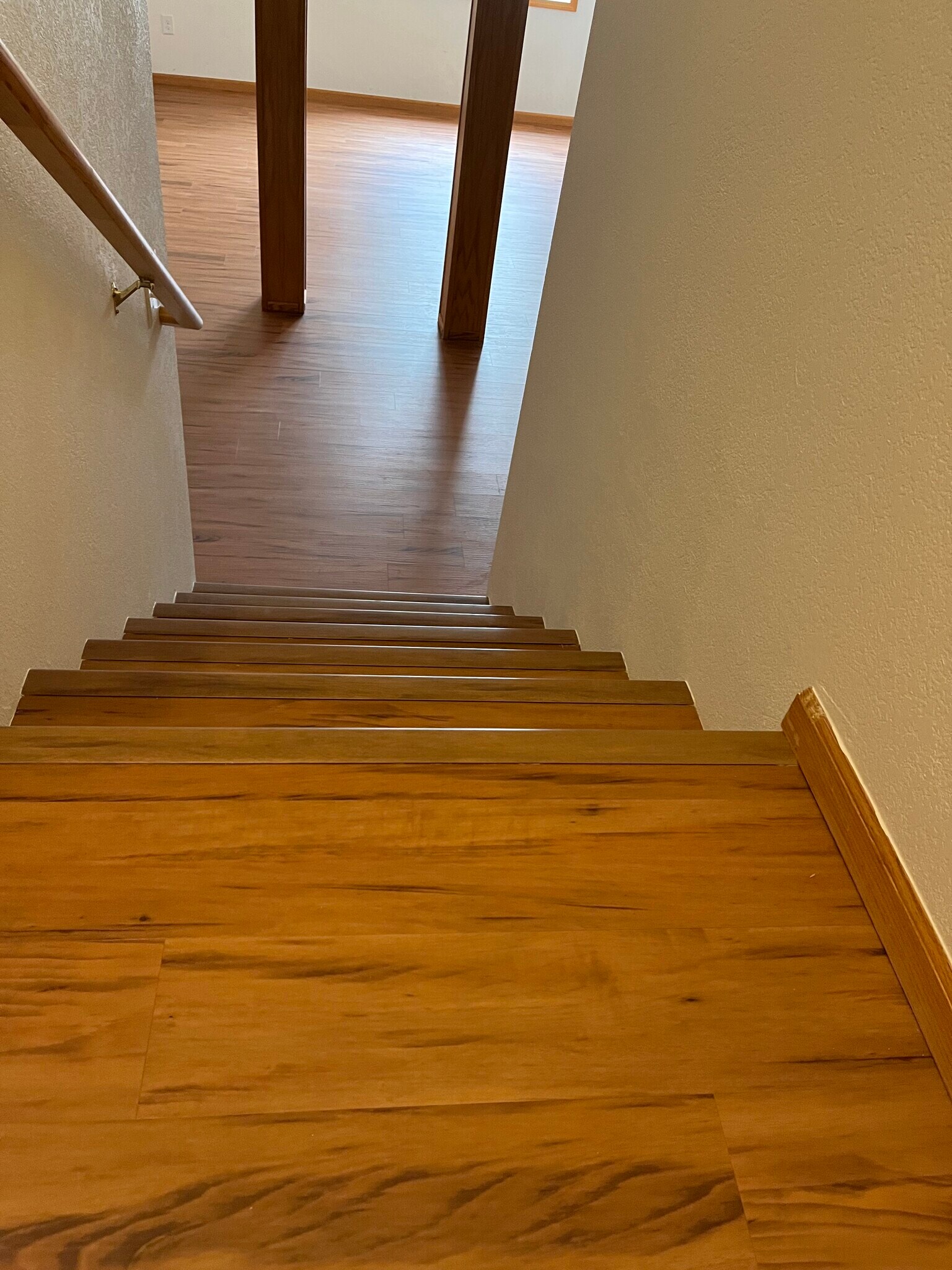 Basement stairs - 2232 Sweetwater Creek Dr