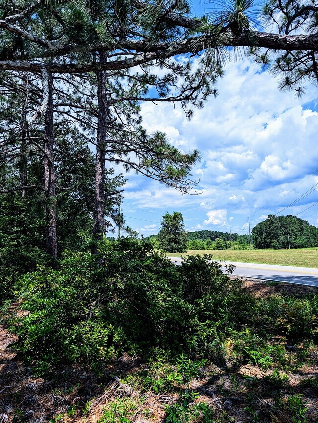 Building Photo - 151 Good Springs Rd