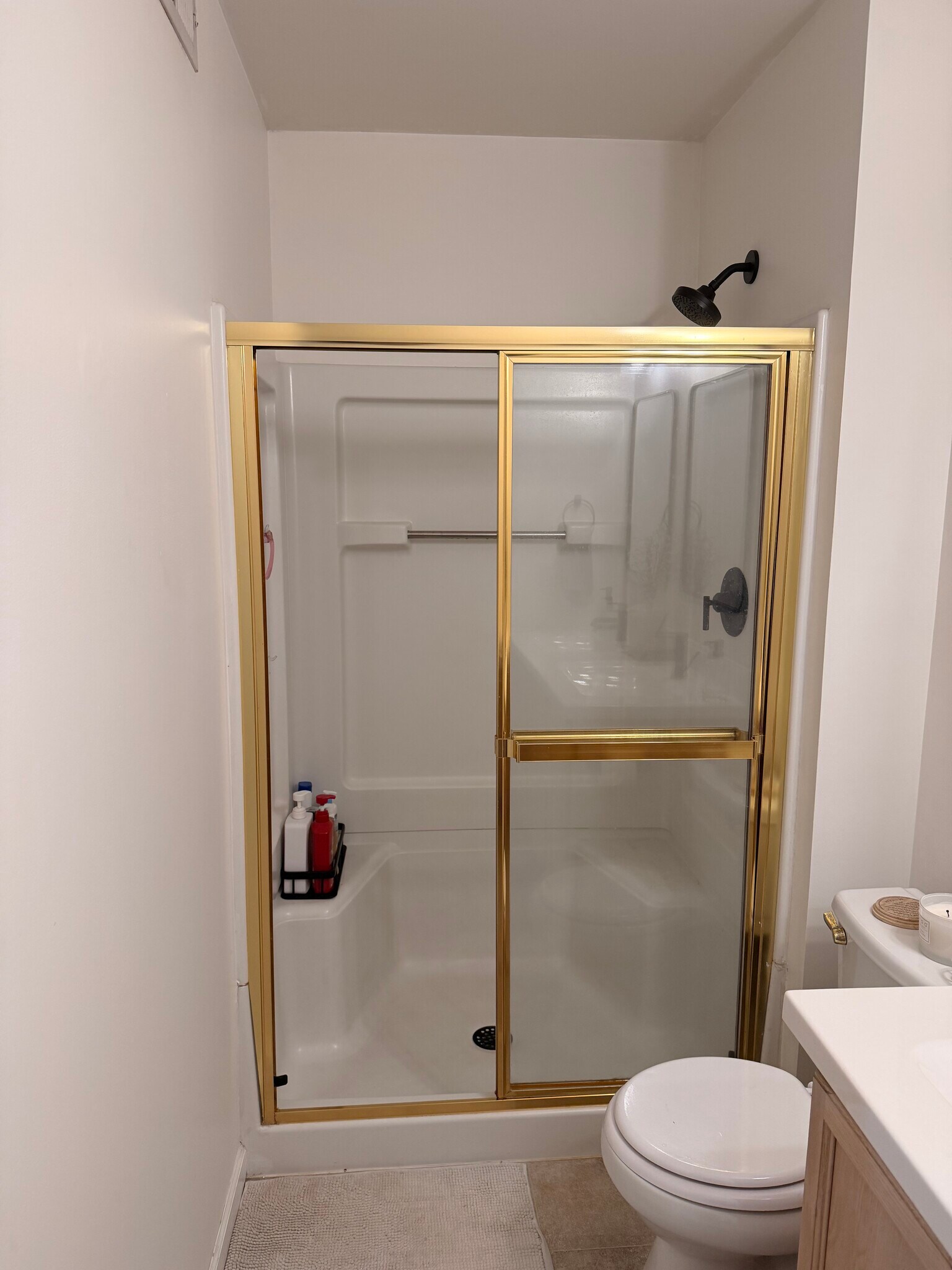 Primary Bathroom - 1609 Forest Springs Ln