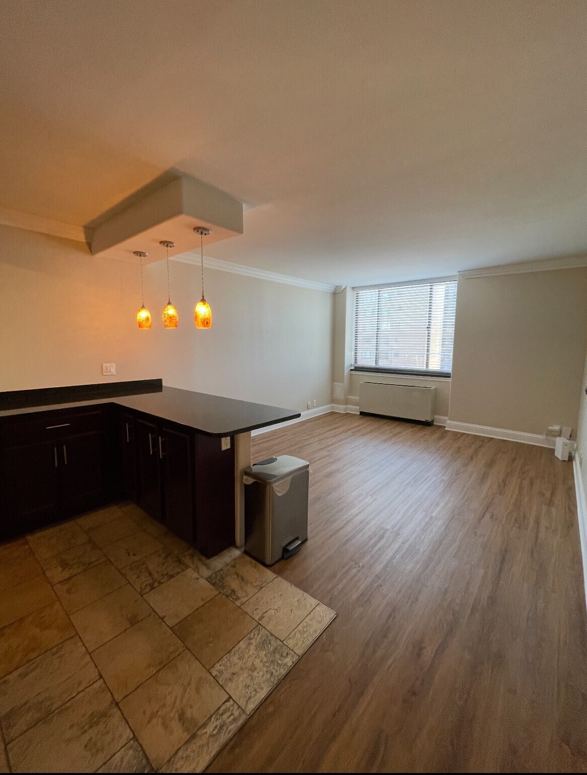 Living and Kitchen Island - 700 E 8th St