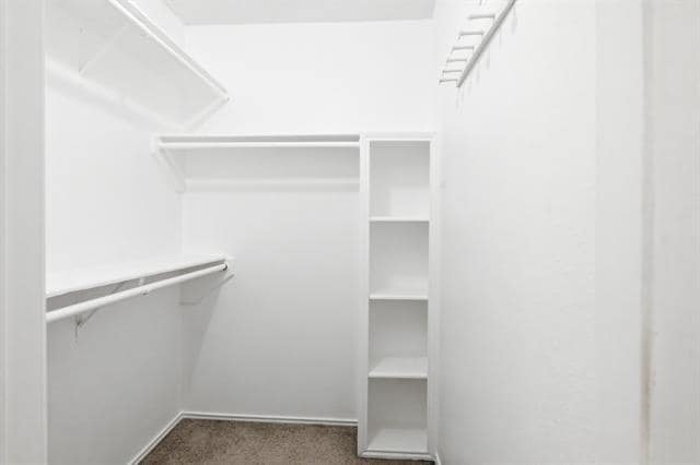 Building Photo - 2502 Cranberry Ln