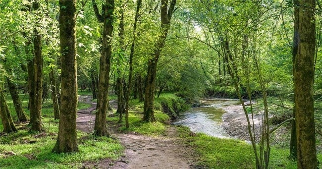 Building Photo - 105 Floss Flower Ct