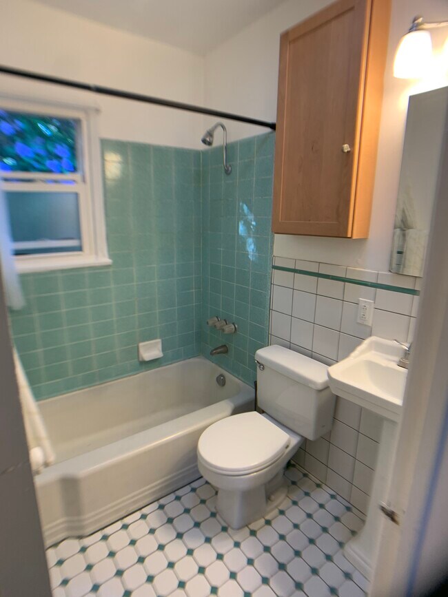 Bathroom with Solatube/fan for natural light - 1827 18th St