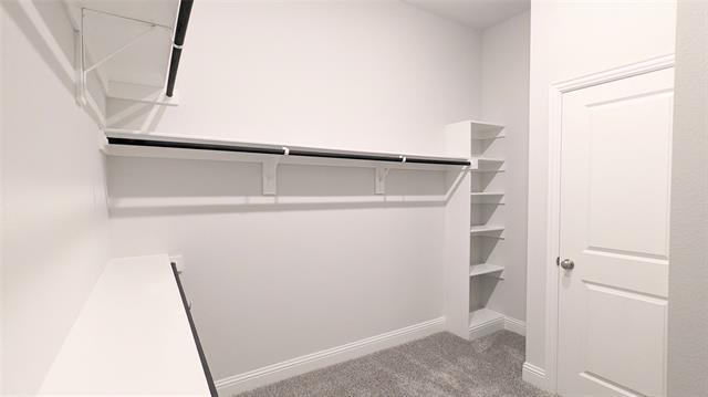 Building Photo - 4124 Wetstone Ln