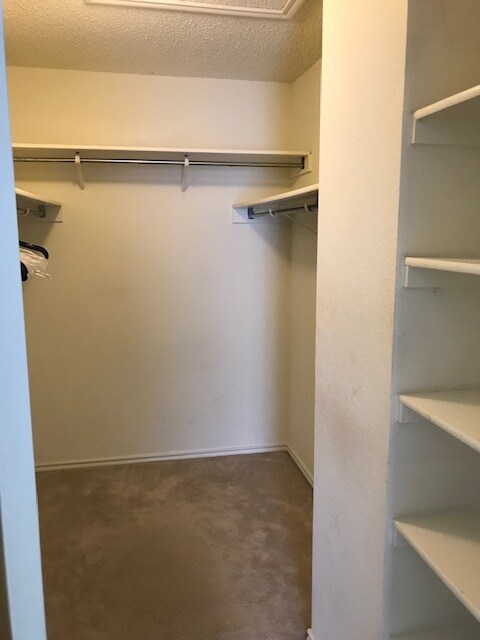 Building Photo - 7838 Caston Park Dr