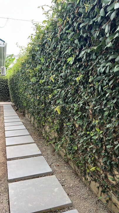 Building Photo - 4415 Stanbridge Ave