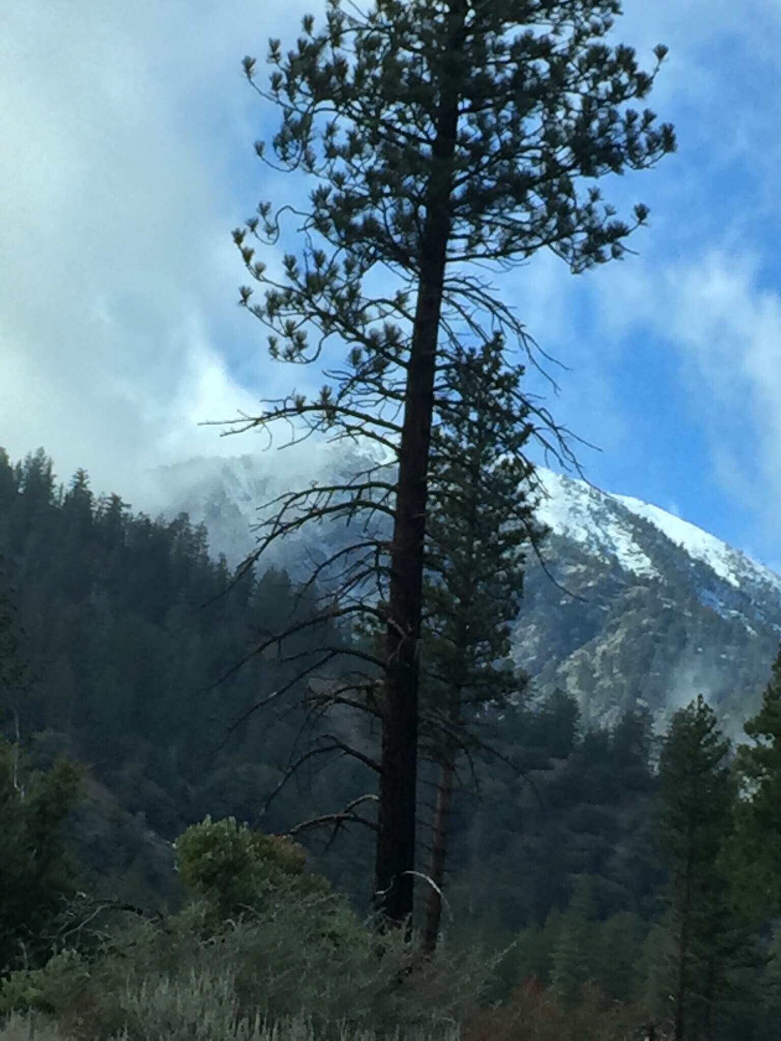 Building Photo - 13992 Irving Ln