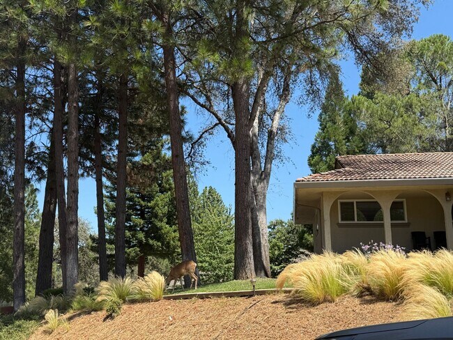 Building Photo - 23799 Woodhaven Pl