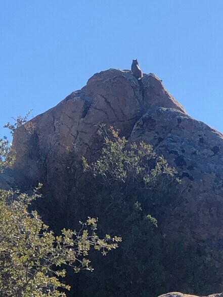 Building Photo - 1135 Boulder Park Ave