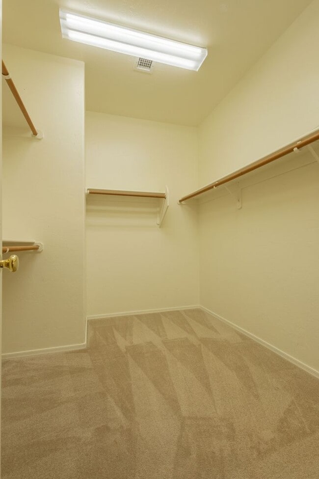 Building Photo - 3 Bedrooms 2 Bathrooms