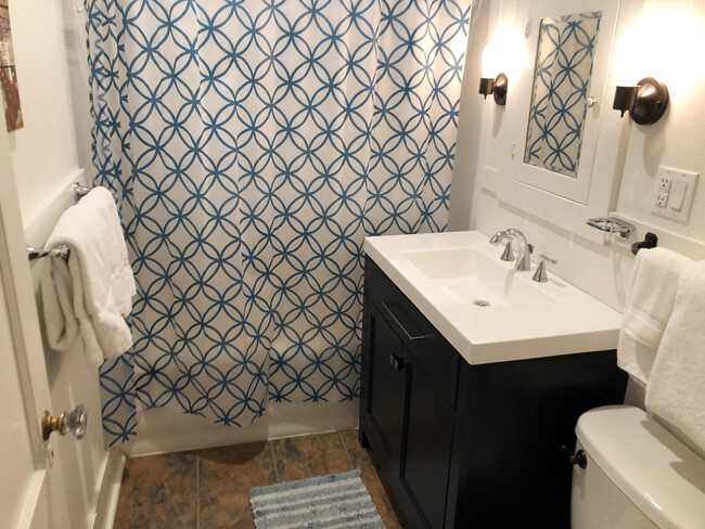 Downstairs Bathroom. - 717 E Lakeside Ave