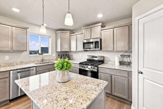 Building Photo - Beautiful 2025-Built 5 Bedroom Home with Finished Walk-Out Basement