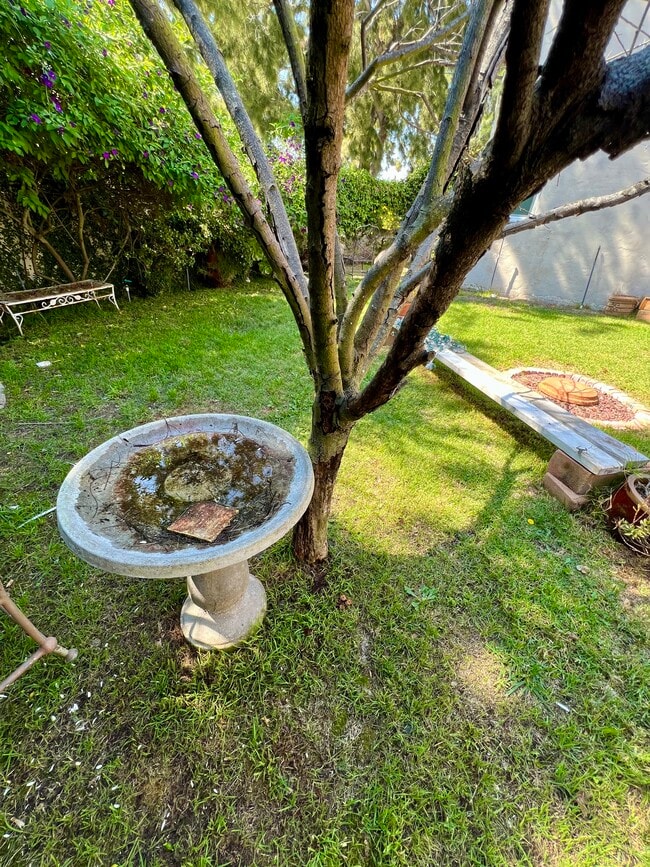 BIRD BATH - 2441 10th St