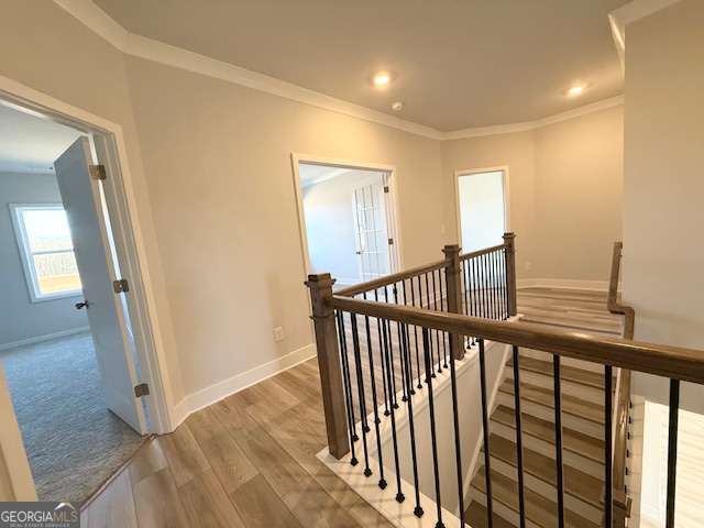 Building Photo - 630 Winding Rose Dr