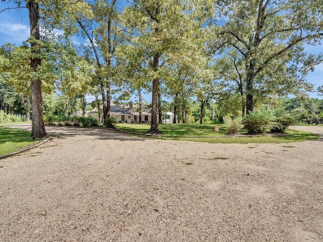 Building Photo - 8402 Matthews Ln
