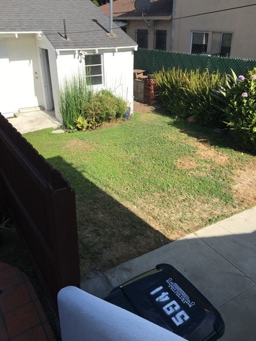 Backyard - 5943 Tujunga Ave