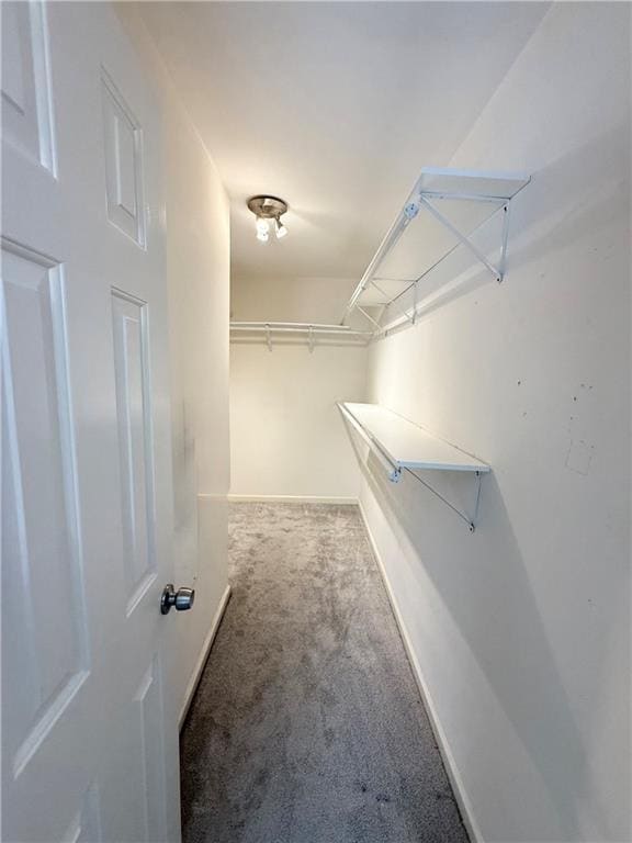 Building Photo - 3313 Hidden Trail Rd SE