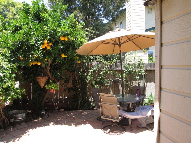 Building Photo - Cute and Spacious One Bedroom Condo