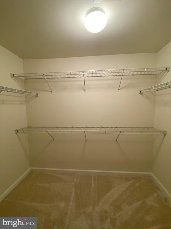 Building Photo - 129 Hornbeam Dr