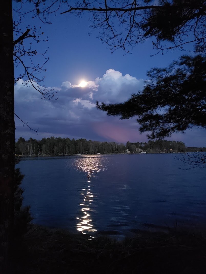 Building Photo - 4152 Satuit Ln