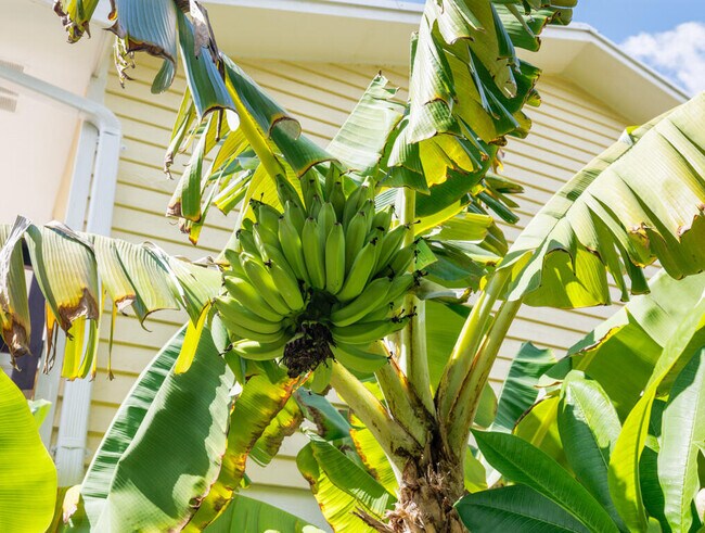 Building Photo - 29283 Coconut Palm Dr