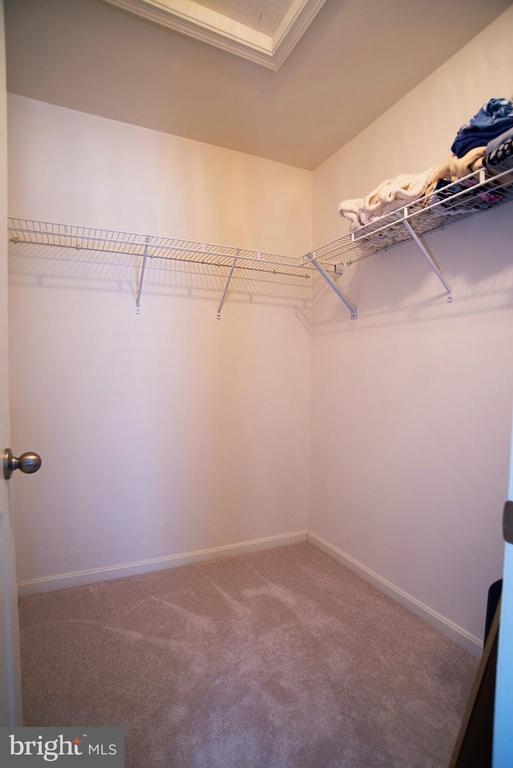 Building Photo - 20 Aster Ln