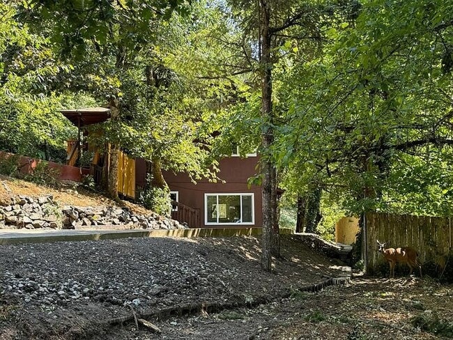 Building Photo - Beautiful One Bedroom Apartment in Fox Hollow Area