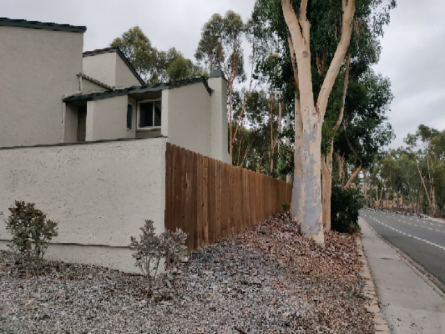 Side street - 10709 Portobelo Dr