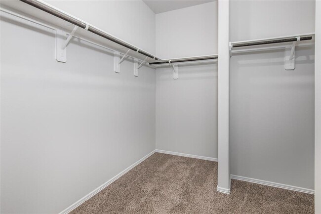 Building Photo - 10734 Soapberry Ct
