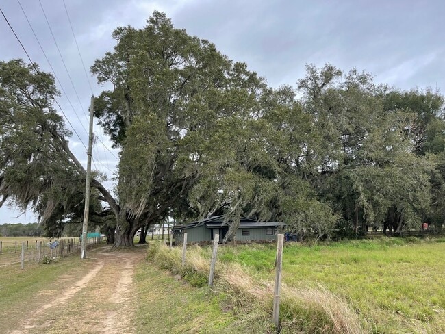 Building Photo - 3 Bed 2 Bath Thonotosassa