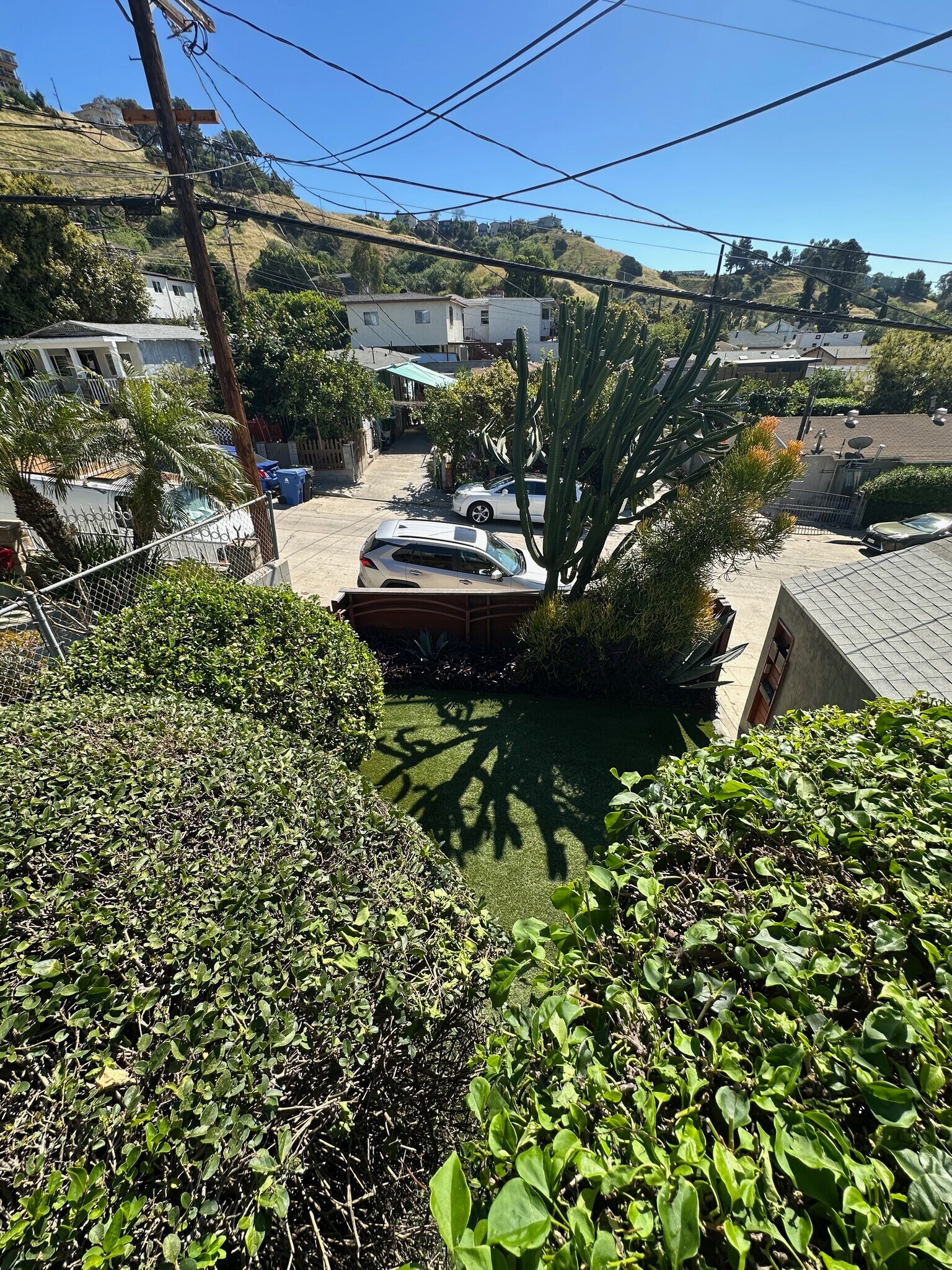 Building Photo - 3513 Loosmore St