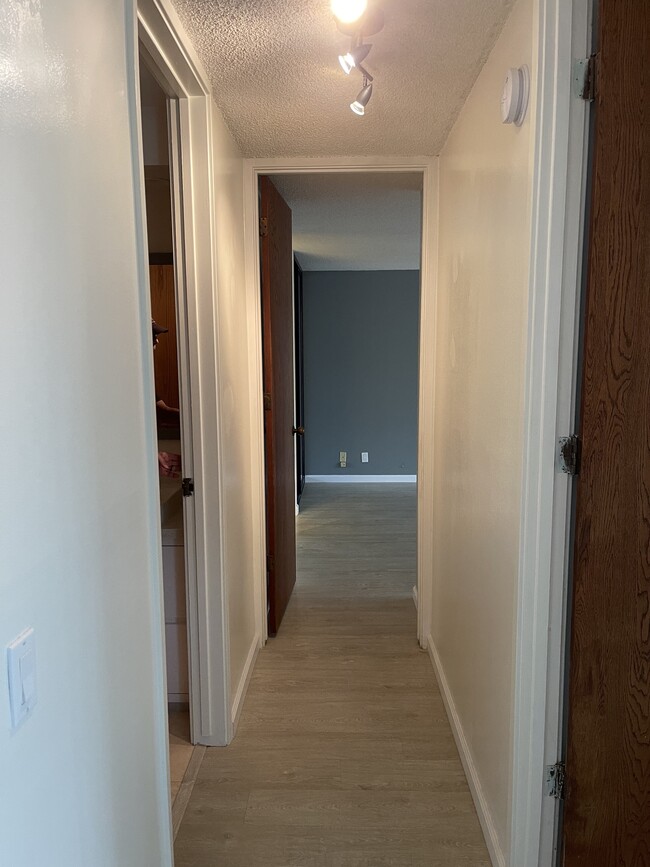 hallway from entry - 55 S Judd St