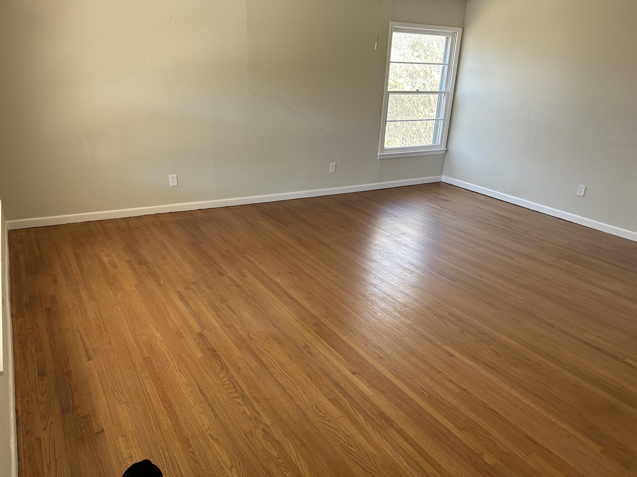 Living Room - 3404 Martin Lydon Ave