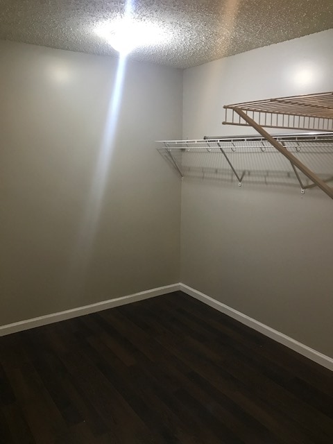 Building Photo - 752 Amity Ln