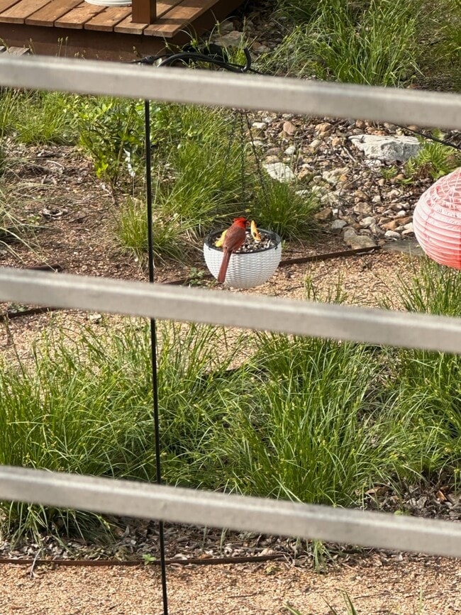 Building Photo - 4608 Gonzales St