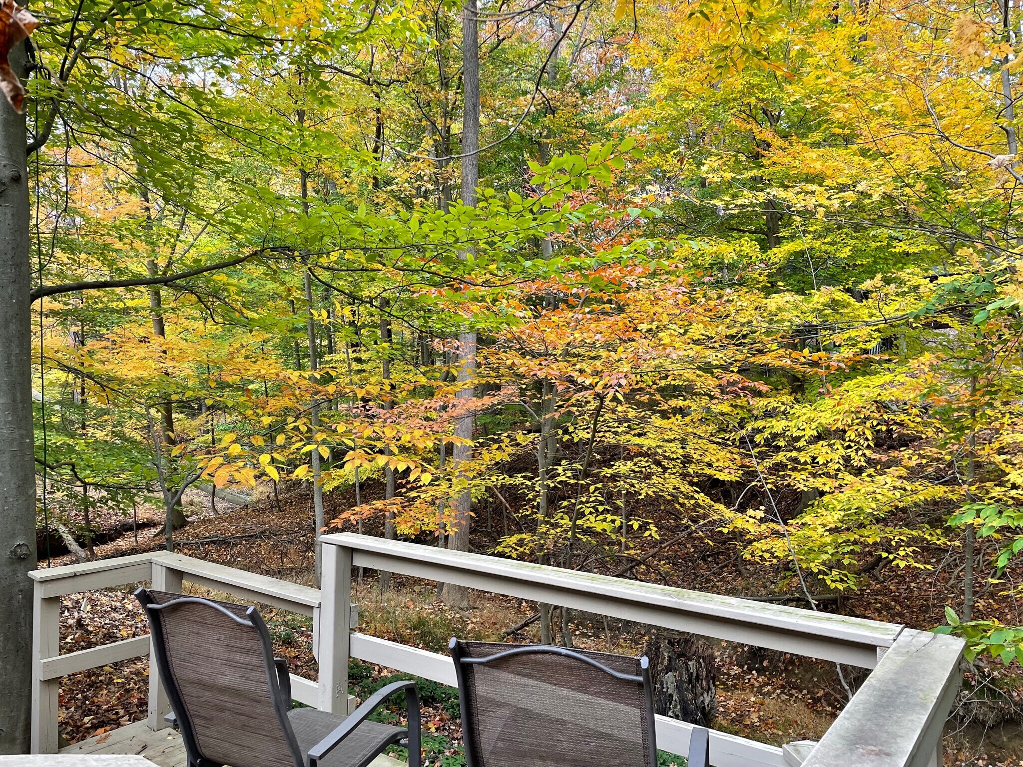 Building Photo - 12275 Moss Ridge Cir