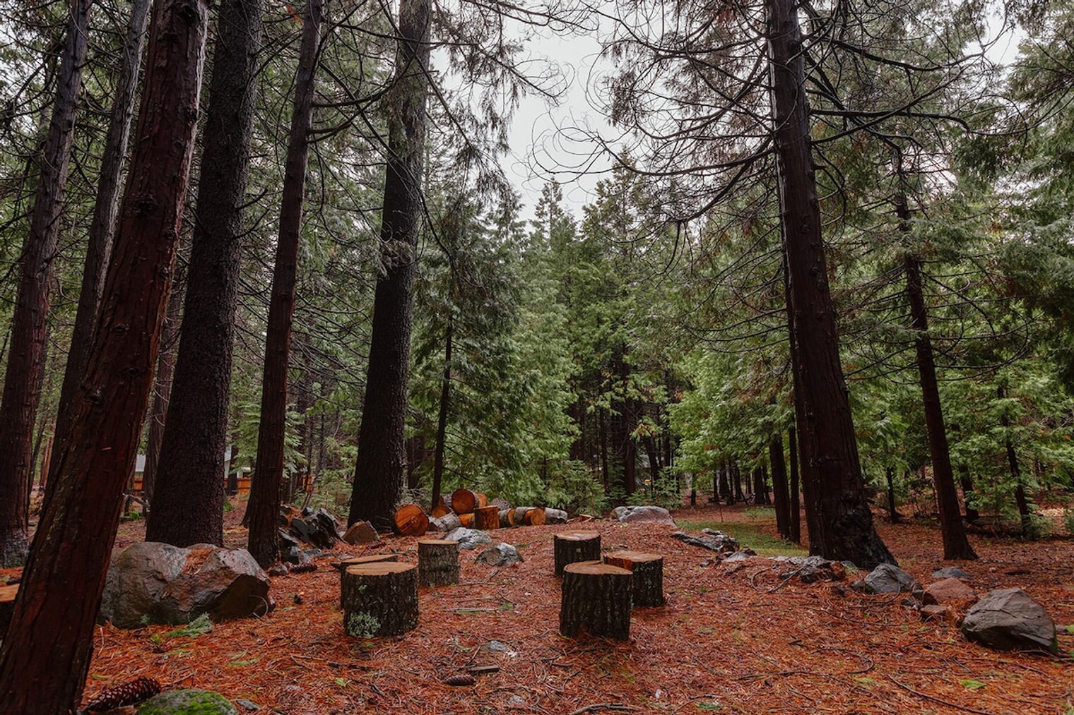 Building Photo - 8448 Starlite Pines Rd