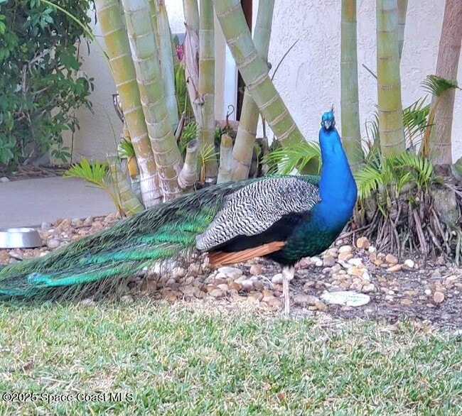 Building Photo - 8761 Ilex Ct