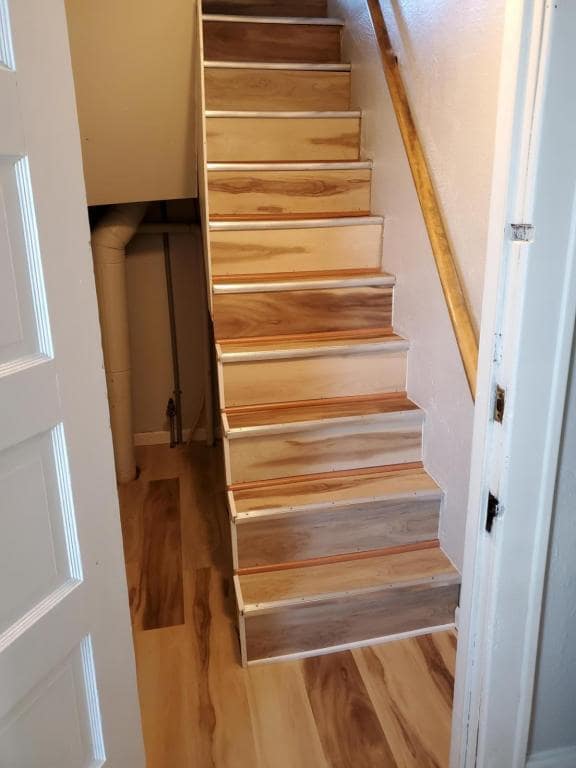 Building Photo - 48 Rumbold Ave