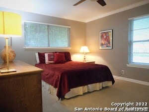 Building Photo - 3715 Twisted Oaks Dr